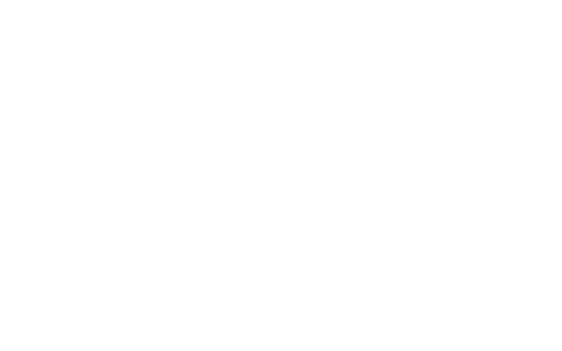 Austal - Redefining Maritime Excellence