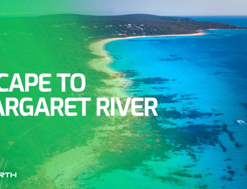 Escape to Margaret River: A Relaxing Music Video Journey